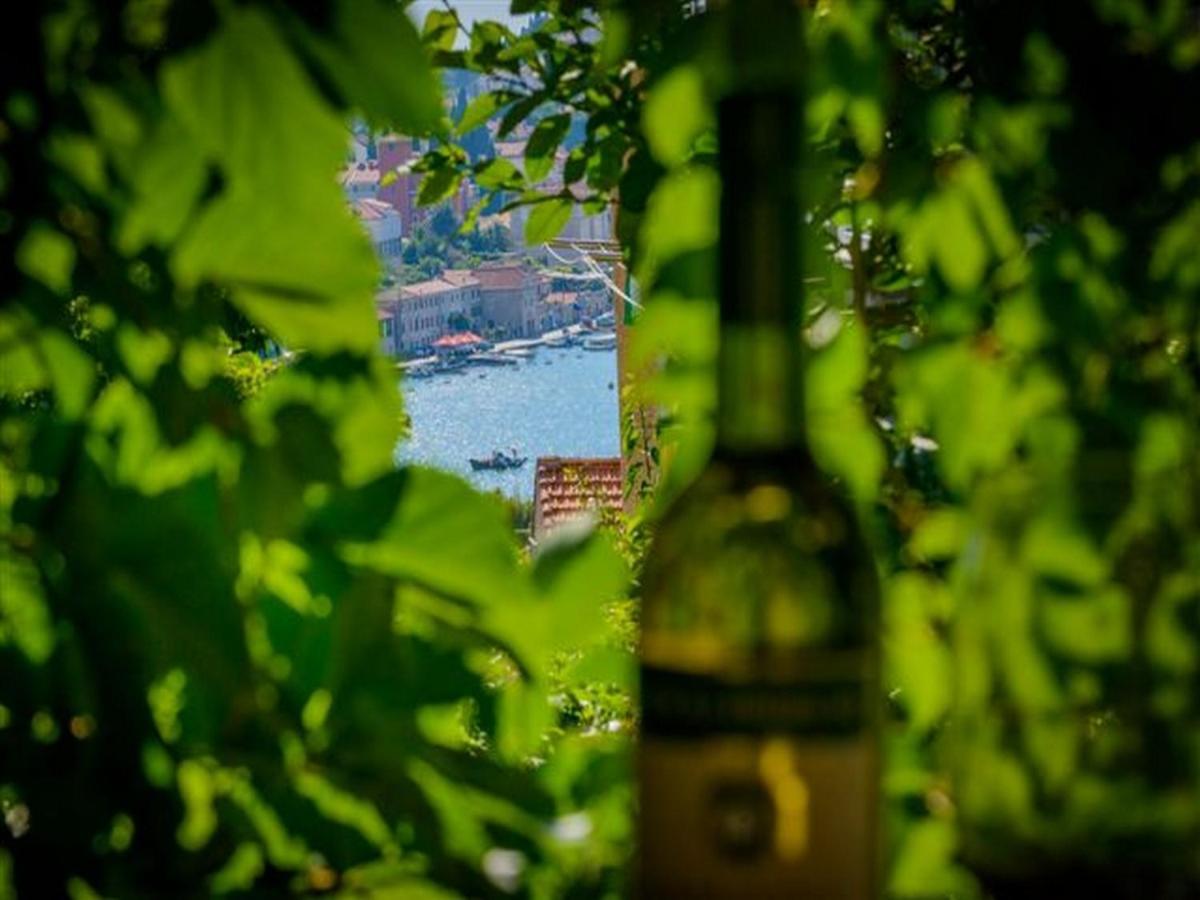 Depozit Appartement Dubrovnik